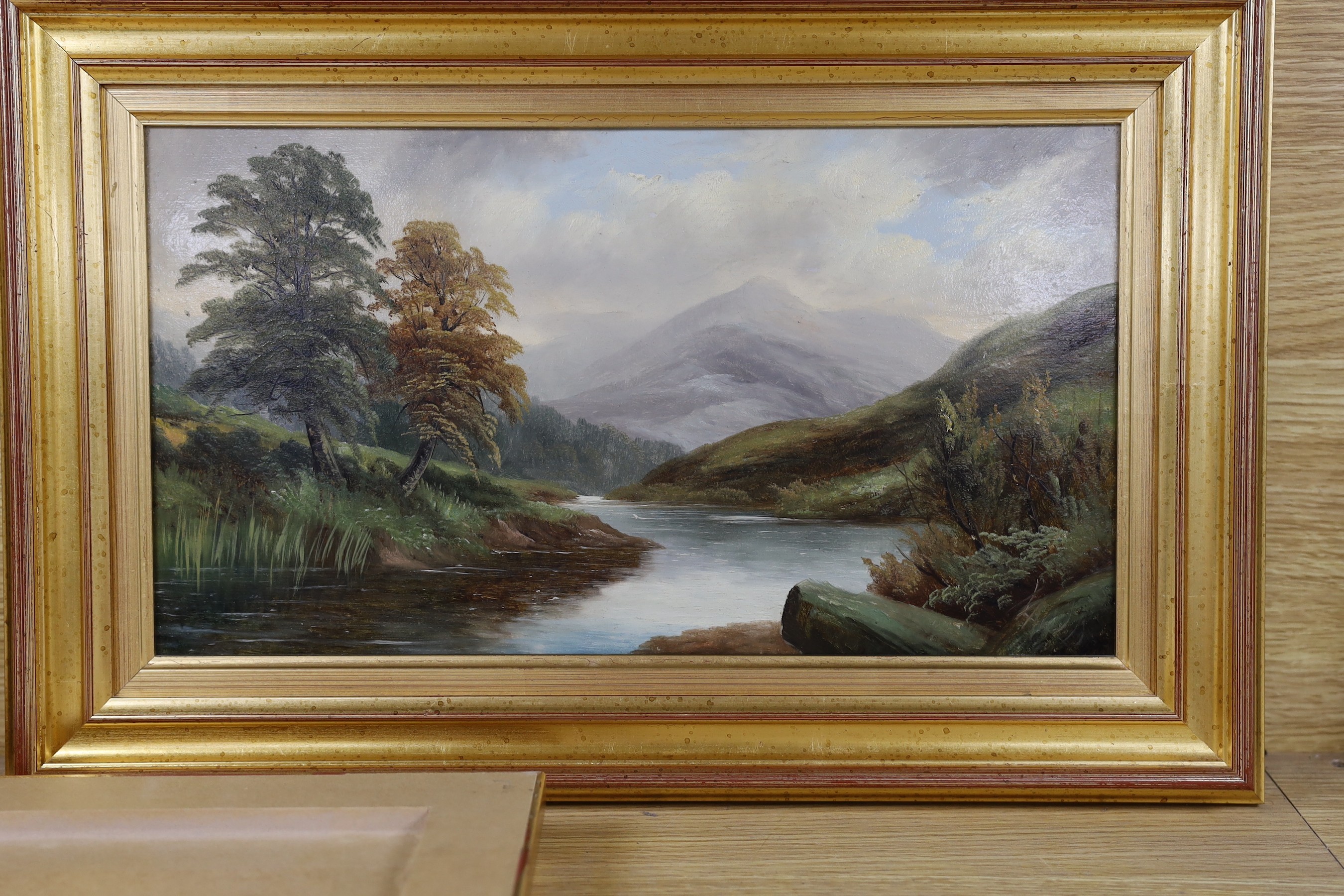 English School, three oils on board, River landscapes, indistinctly signed, 22 x 40cm